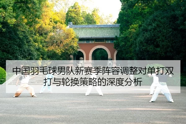 zhong-guo-yu-mao-qiu-nan-dui-xin-sai-ji-zhen-rong-tiao-zheng-dui-dan-da-shuang-da-yu-lun-huan-ce-lve-de-shen-du-fen-xi-2-981.jpg