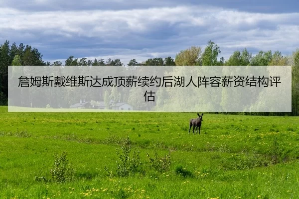 詹姆斯戴维斯达成顶薪续约后湖人阵容薪资结构评估